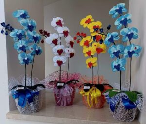 PinDown.io_@catepala_1770070335