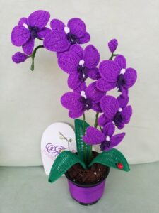 PinDown.io_@kiegsztkx_1770069789