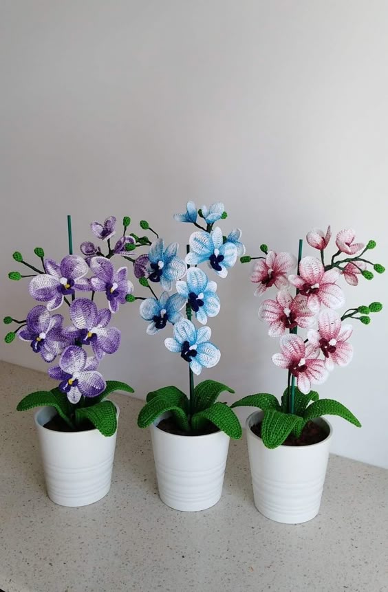 PinDown.io_@laanto66_1770070409