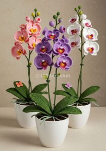 PinDown.io_@meryemavci517_1770061343