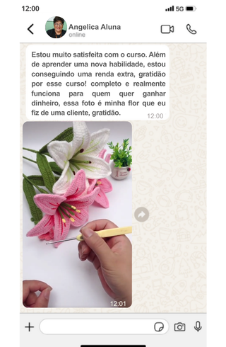 gengibre cabelo (12)