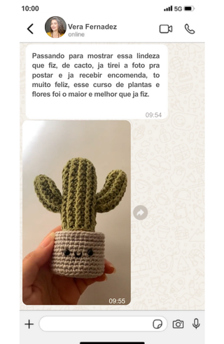 gengibre cabelo (14)